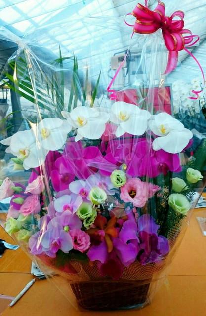 アレンジメントは当園自慢の作品です。 是非、ご利用ください。 IMG 5162 1