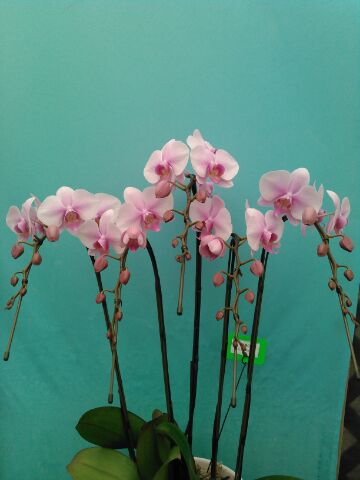 2016/5/28(1) 20160528 1