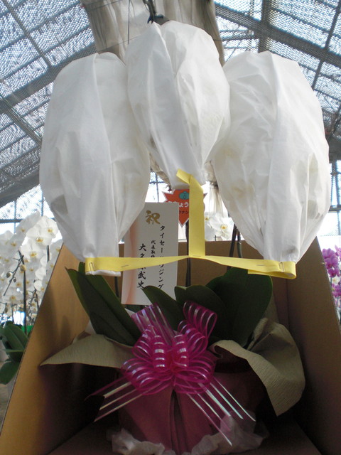 ラッピング・立札も承ります