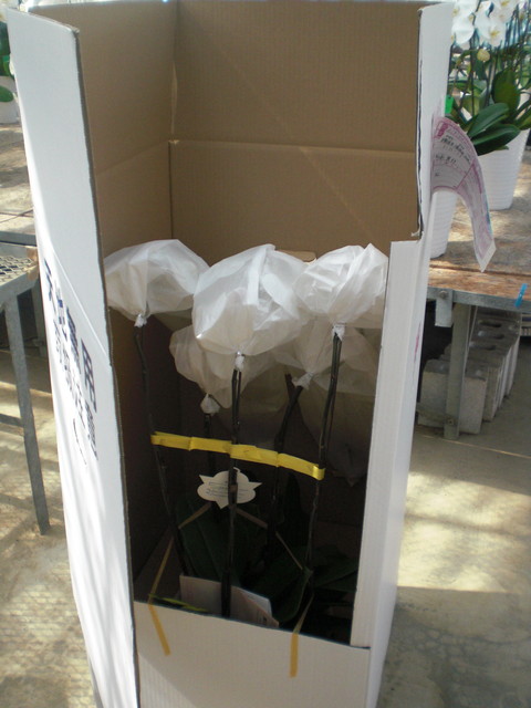 宅配用のボックスに入れた様子