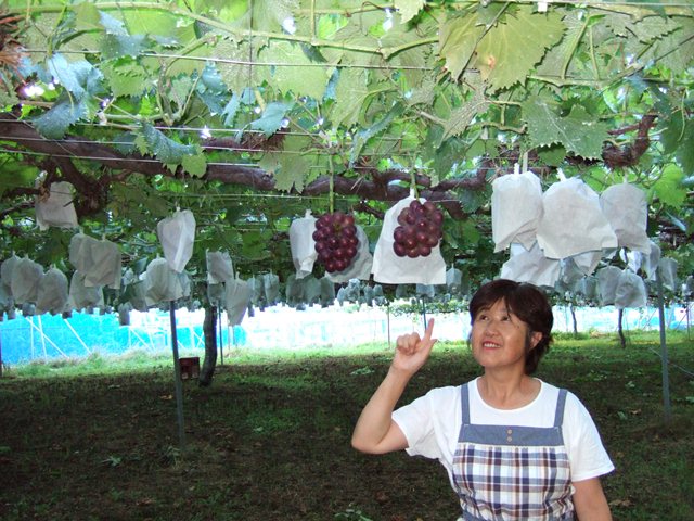 6budoen tashiro ryuuho