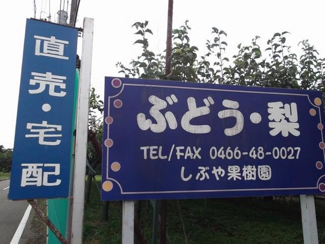 sibuya chokubaijow640