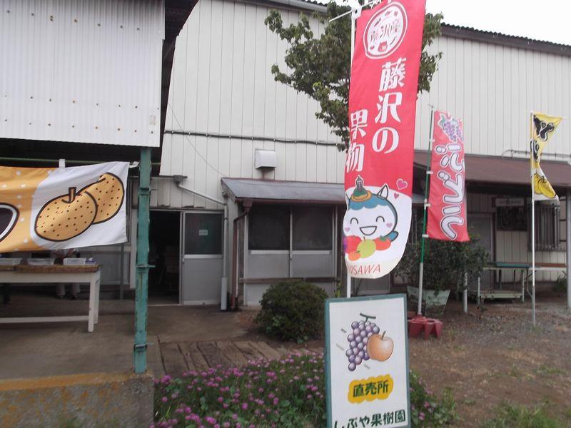 sibuyakajen chokubaijo